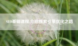 SEO基础课程,介绍搜索引擎优化之路
