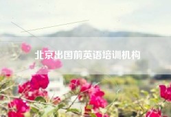 北京出国前英语培训机构