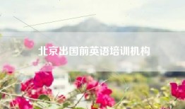 北京出国前英语培训机构