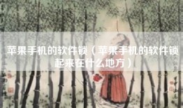 苹果手机的软件锁（苹果手机的软件锁起来在什么地方）