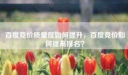 百度竞价质量度如何提升，百度竞价如何提高排名？
