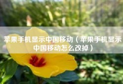 苹果手机显示中国移动（苹果手机显示中国移动怎么改掉）