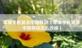 苹果手机显示中国移动（苹果手机显示中国移动怎么改掉）