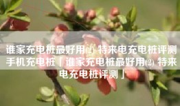 谁家充电桩最好用(2) 特来电充电桩评测手机充电桩「谁家充电桩最好用(2) 特来电充电桩评测」