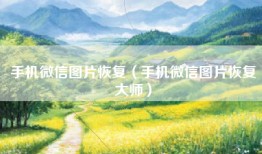 手机微信图片恢复（手机微信图片恢复大师）