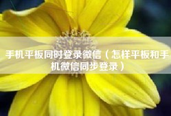 手机平板同时登录微信（怎样平板和手机微信同步登录）