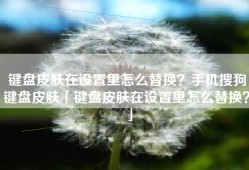 键盘皮肤在设置里怎么替换？手机搜狗键盘皮肤「键盘皮肤在设置里怎么替换？」