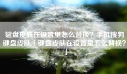键盘皮肤在设置里怎么替换？手机搜狗键盘皮肤「键盘皮肤在设置里怎么替换？」