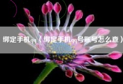 绑定手机qq（绑定手机qq号账号怎么查）