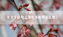 无卡手机号（无卡手机号怎么查）