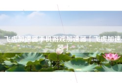 飞虎加速器手机游戏加速器「飞虎加速器」