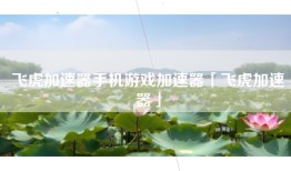 飞虎加速器手机游戏加速器「飞虎加速器」