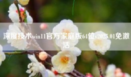 深度技术win11官方家庭版64位v2025.01免激活