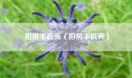 拍摄手机壳（拍照手机壳）