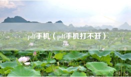 pdf手机（pdf手机打不开）