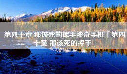 第四十章 那该死的挥手神奇手机「第四十章 那该死的挥手」