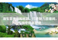 淘宝直播吸粉秘籍，打造魅力直播间，引领电商新风潮
