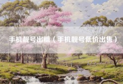 手机靓号出租（手机靓号低价出售）