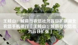 王岐山：城商行农信社勿盲目扩张湖北农信手机银行「王岐山：城商行农信社勿盲目扩张」