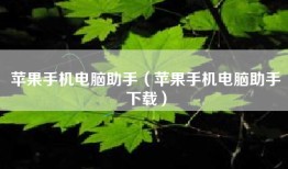 苹果手机电脑助手（苹果手机电脑助手下载）