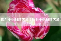 国产手机品牌大全（所有手机品牌大全）