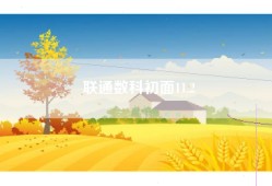 联通数科初面11.2