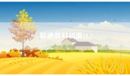 联通数科初面11.2
