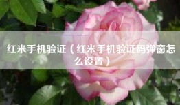 红米手机验证（红米手机验证码弹窗怎么设置）
