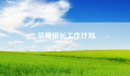 品质组长工作计划