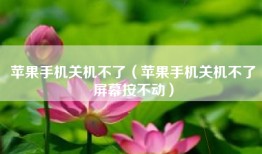 苹果手机关机不了（苹果手机关机不了屏幕按不动）