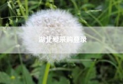 湖北爱采购登录