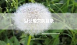 湖北爱采购登录