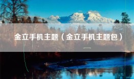 金立手机主题（金立手机主题包）