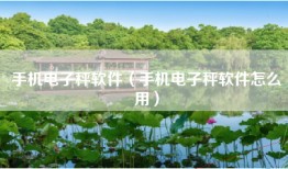 手机电子秤软件（手机电子秤软件怎么用）