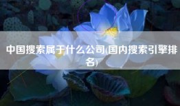 中国搜索属于什么公司(国内搜索引擎排名)