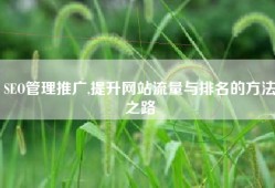 SEO管理推广,提升网站流量与排名的方法之路