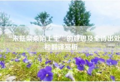 “未抵柴桑陌上尘”的意思及全诗出处和翻译赏析