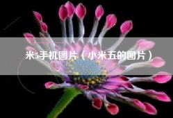 米5手机图片（小米五的图片）