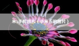 米5手机图片（小米五的图片）