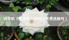 选手机（选手机号码网上免费选靓号）