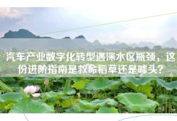 汽车产业数字化转型遇深水区瓶颈，这份进阶指南是救命稻草还是噱头？