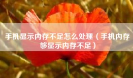 手机显示内存不足怎么处理（手机内存够显示内存不足）