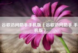谷歌访问助手手机版（谷歌访问助手 手机版）