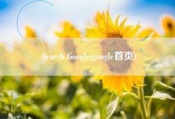 Search Google(google首页)