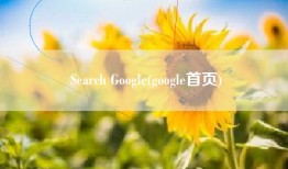 Search Google(google首页)