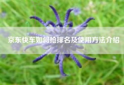 京东快车如何抢排名及使用方法介绍
