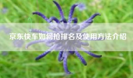 京东快车如何抢排名及使用方法介绍