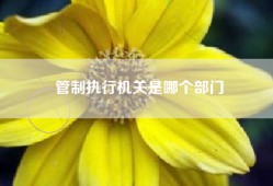 管制执行机关是哪个部门