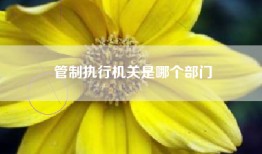 管制执行机关是哪个部门