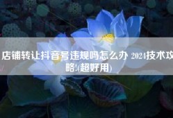 店铺转让抖音号违规吗怎么办 2024技术攻略!(超好用)